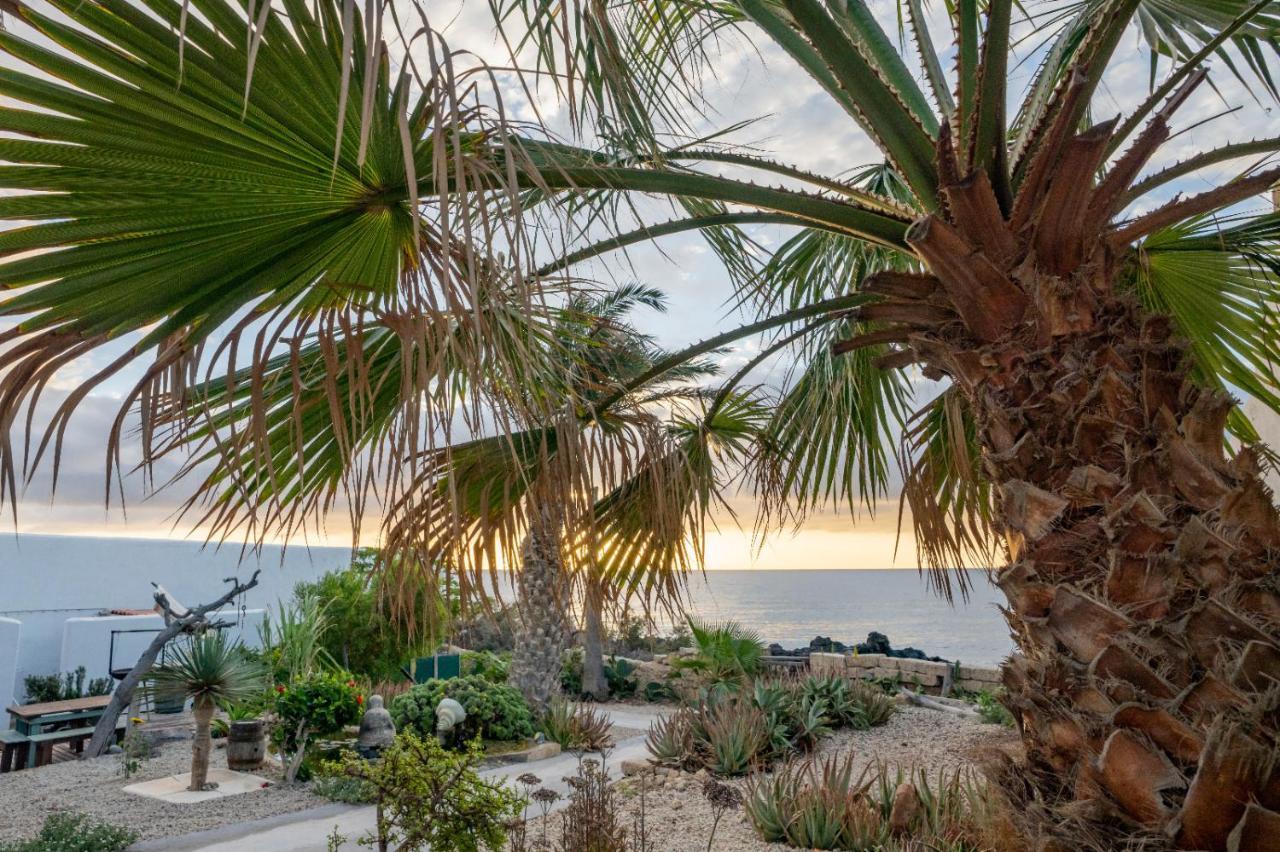 Little Paradise In El Medano 2 Гранаділья-де-Абона Екстер'єр фото