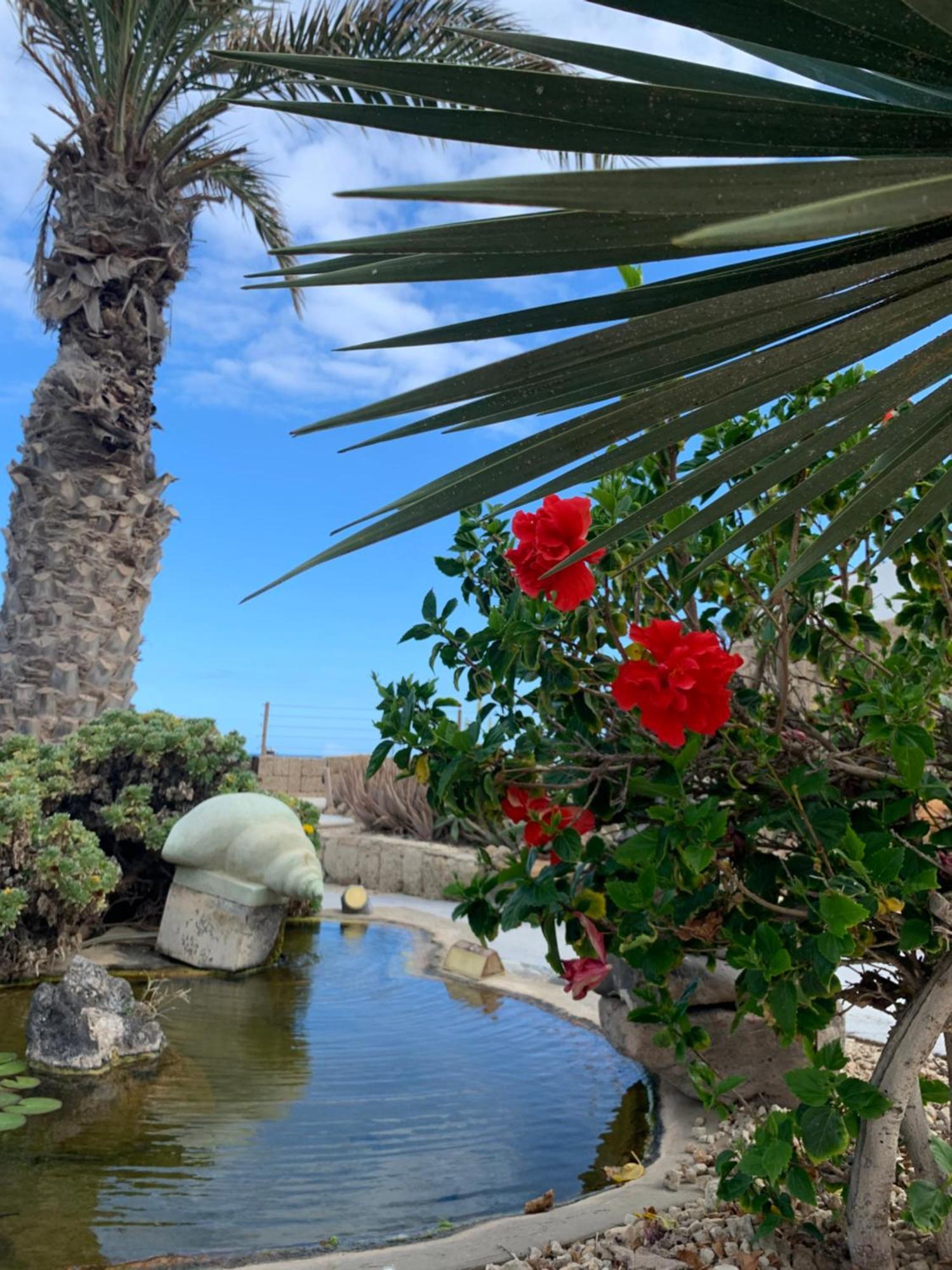Little Paradise In El Medano 2 Гранаділья-де-Абона Екстер'єр фото